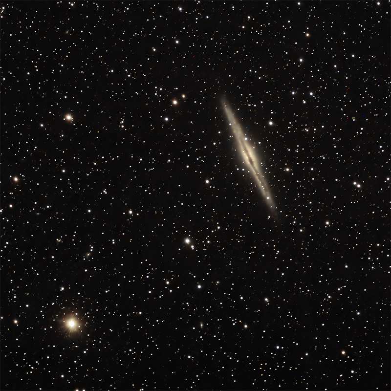 celestron_NGC891_recadre_800px.jpg