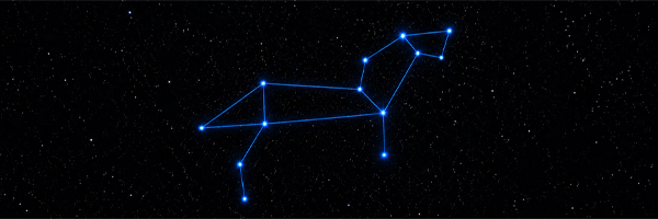 constellation-leo.jpg